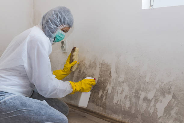 Best Crawl Space Mold Removal  in Pierce, NE