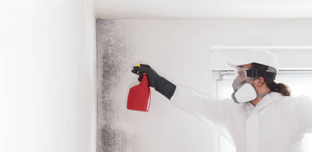 Best Mold Testing  in Pierce, NE